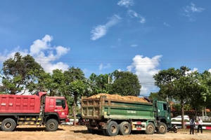 TP Vũng Tàu: Xử lý nghiêm hành vi san lấp đất trái phép tại phường 12