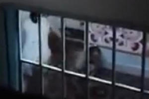 Bình Dương: Lộ lý do con gái dùng chổi đánh mẹ đẻ