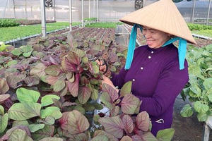 Bà Rịa – Vũng Tàu với quy hoạch thời kỳ 2021-2030, tầm nhìn đến năm 2050