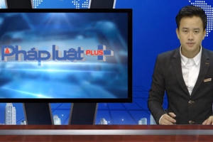 Bản tin Thời sự tổng hợp Plus (25/4/2016)