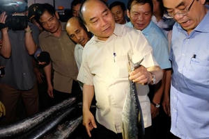 Chia vui với ngư dân miền Trung, Thủ tướng mua 10kg cá 'đãi' đoàn công tác