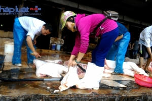 Những người hành hung phóng viên tại lò mổ phải chịu trách nhiệm như thế nào?