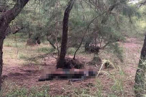 Thừa Thiên Huế: Tá hỏa phát hiện cụ ông chết cháy trên cồn cát