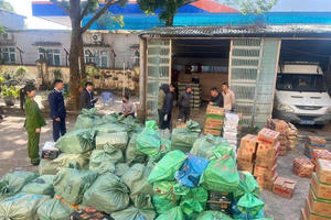 Quảng Ninh thu giữ gần 4 tấn thực phẩm không rõ nguồn gốc trước Tết Nguyên đán