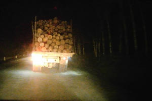 Phát hiện thủ đoạn mới đang “gặm nhấm” rừng tự nhiên ở Hà Giang