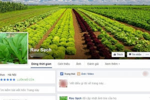 Mù mờ thực phẩm sạch “tự phong”