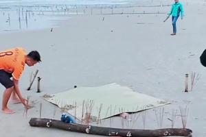 Tá hỏa phát hiện thi thể không đầu, chết bất thường ở biển Quảng Nam