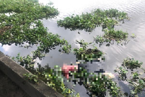 Bình Dương: Phát hiện thi thể nam giới đang phân hủy, trôi trên sông Sài Gòn