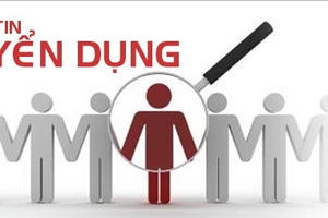 Chuyên trang Truyền thông Pháp Luật Plus tuyển phóng viên Chuyên trang Truyền thông Pháp Luật Plus tuyển phóng viên