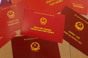 Dùng bằng giả, nữ hiệu trưởng bị cách chức