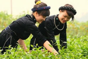 Sẽ đào tạo kỹ năng công nghệ số căn bản trong kinh doanh cho khoảng 65.000 người