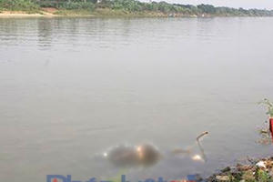 Nam Định: Phát hiện thi thể không đầu, chưa có người nhận trên sông Đào