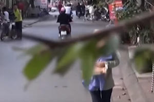 Đánh thuốc mê con để bán hàng rong