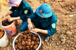 Hàn Quốc hỗ trợ 20 triệu USD để rà phá bom mìn ở Bình Định và Quảng Bình