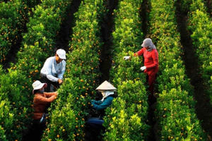 Vùng đất Hưng Yên với những biến đổi về địa giới hành chính