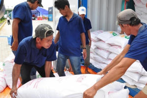 Xuất cấp hơn 3.500 tấn gạo hỗ trợ tỉnh Quảng Bình, Quảng Ngãi