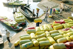 Doanh nghiệp xuất nhập khẩu gạo: Lỗ nặng vì hạn hán Doanh nghiệp xuất nhập khẩu gạo: Lỗ nặng vì hạn hán