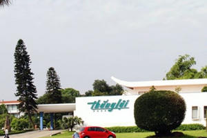 Địa ốc 24h: Xót xa đất vàng bỏ hoang, TP HCM lại 'sốt' đất vùng ven