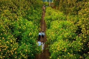 Du khách từ TP HCM tới Đà Lạt không cần phải xét nghiệm Covid-19