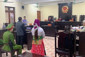 Vụ 'đã mất trộm, còn bị kết án' ở Hà Giang: Cho dừng phiên tòa để xác minh tình tiết mới