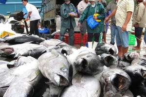 Trung Quốc miễn thuế hơn 30 mặt hàng thủy sản Việt Nam