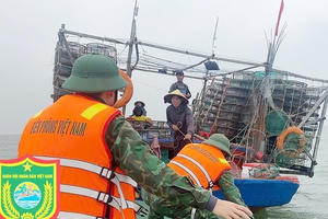 Hà Tĩnh: Xử lý nghiêm các tàu cá vi phạm khai thác hải sản