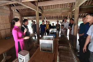 Tháng 5 bồi hồi về quê Bác