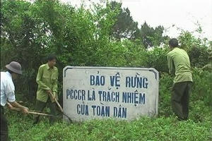 Khi nguyên tắc pháp quyền bị quan chức xâm phạm