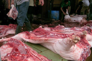 Hà Nội: Kiên quyết đấu tranh vận chuyển, kinh doanh lợn không rõ nguồn gốc Hà Nội: Kiên quyết đấu tranh vận chuyển, kinh doanh lợn không rõ nguồn gốc