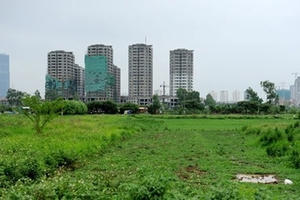 Địa ốc Plus 24h: Căn hộ chung cư biến tướng thành văn phòng bất chấp quy định