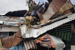 Bé 13 tuổi đang ngủ trong nhà bị cây xanh bật gốc đè trúng