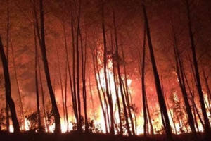 Cháy rừng lan sang nhiều xã, cả ngàn người chiến đấu với giặc lửa cứu rừng