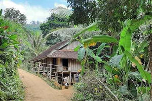 Vợ đến nhà con gái trông cháu, chồng ở nhà dâm ô, hiếp dâm nhiều bé gái hàng xóm