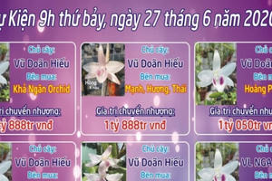 Phiên chợ hoa lan Bạch Tuyết 8 tỷ, xôn xao dân chơi đất Bắc