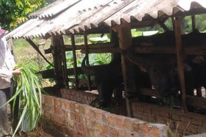 Vốn chính sách vun mầm no ấm ở Minh Long