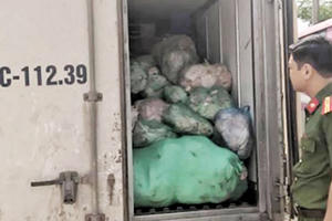 Thanh Hóa: Bắt giữ 1 tấn rưỡi bì lợn bốc mùi thối