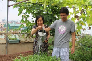 Chiều vợ, chồng phá mái tôn để trồng rau, nuôi gà