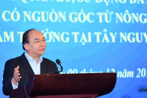 Giải pháp ổn định dân di cư tự do và quản lý đất có nguồn gốc nông, lâm trường