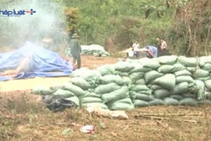 Bắc Giang: Kinh hoàng chế biến măng tươi bằng đốt ủ lưu huỳnh