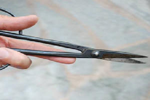 Khánh Hòa: Người phụ nữ dùng kéo tự sát tại trụ sở công an