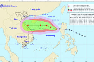 Bão số 8 tiến vào Biển Đông và vùng nguy hiểm trong 24 giờ tới