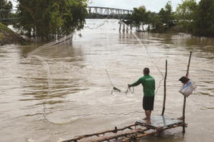 An Giang: Mùa lũ kỳ lạ, cá trôi theo nước, dân bà cậu tiếc hùi hụi An Giang: Mùa lũ kỳ lạ, cá trôi theo nước, dân bà cậu tiếc hùi hụi