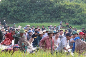 Sau tiếng hú lớn cả ngàn người lao xuống đầm Vực đánh cá, săn lộc