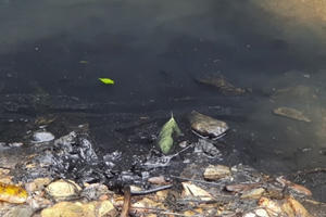 Bắt khẩn cấp 3 đối tượng đổ trộm dầu thải gây ô nhiễm nguồn nước sạch Sông Đà