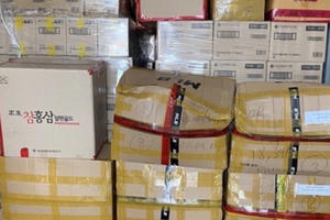 Bắt lô hàng mỹ phẩm 'khủng' nhập lậu từ Hàn Quốc về Việt Nam Bắt lô hàng mỹ phẩm 'khủng' nhập lậu từ Hàn Quốc về Việt Nam