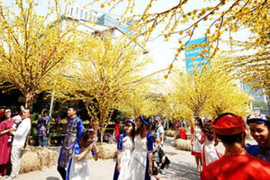 Thông báo chính thức về lịch nghỉ Tết Nguyên đán Canh Tý 2020