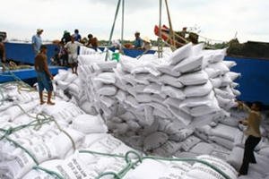 Audio Tài chính Plus: Xuất khẩu tăng 40%, tín hiệu vui của ngành lúa gạo