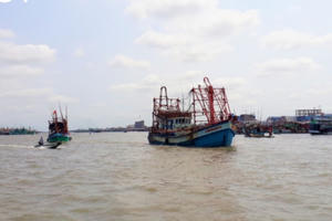 Gỡ “thẻ vàng” của EC: Hành động và thực tiễn ở Cà Mau