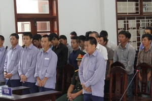 Quảng Nam: Xét xử vụ phá rừng Pơ mu khu vực cửa khẩu Nam Giang