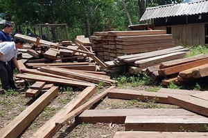 Quảng Bình: Phát hiện gỗ lậu giấu trong... trụ sở UBND xã